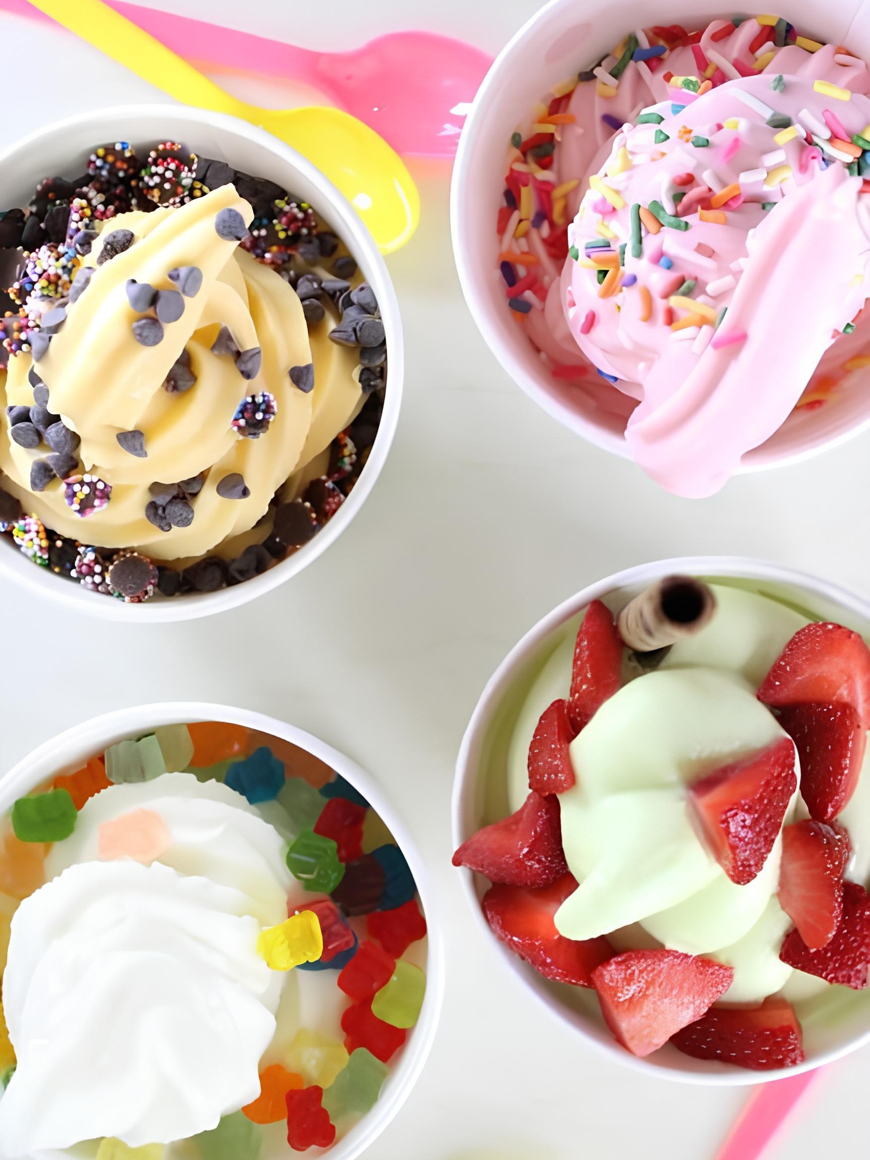 Frozen Yogurt